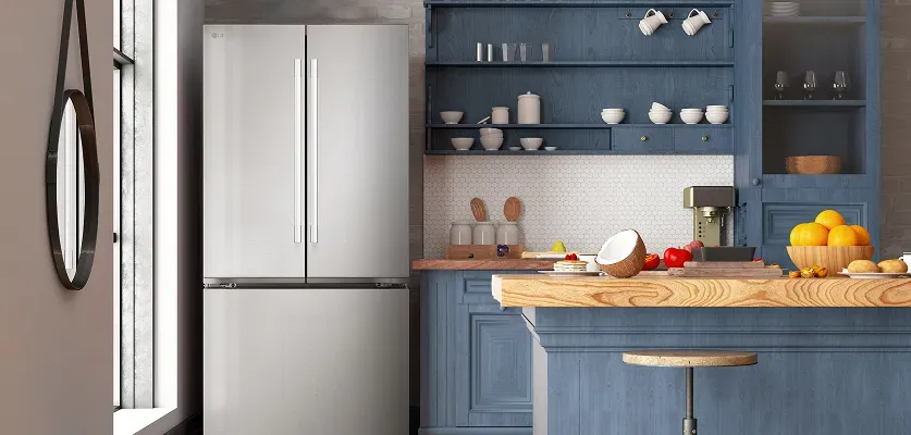 lg-LF25H6200S-counter-depth-refrigerator